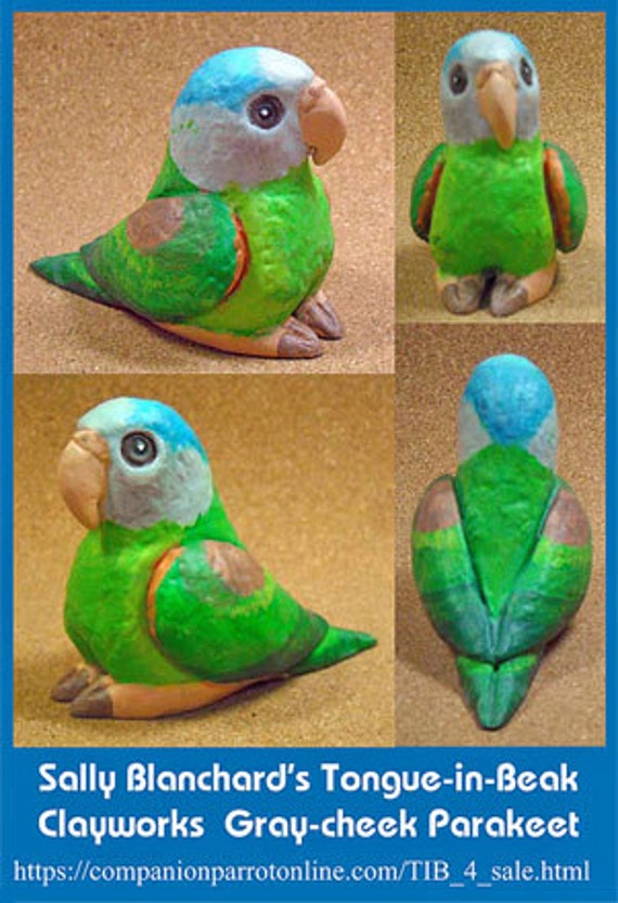 GREY-CHEEK PARAKEET Tongue-in-Beak Mini-gem Sally Blanchar