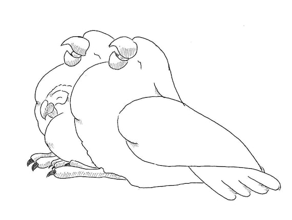 Sally Blanchard Signed Original Cartoon Drawing Of Sleeping Etsy