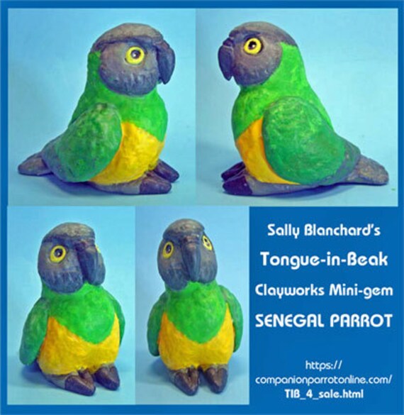 SENEGAL PARROT Tongue-in-Beak Mini-gem by Sally Blanchard