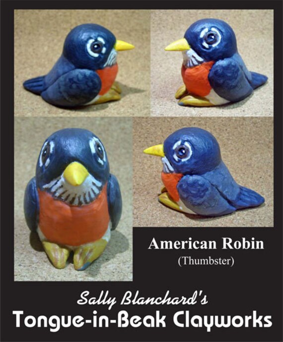 American Robin - Sally Blanchard's Tongue-in-Beak "thumbster"