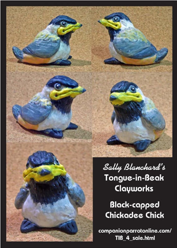Precious Baby Black-capped Chickadee Sally Blanchard's Tongue-in-Beak Clayworks