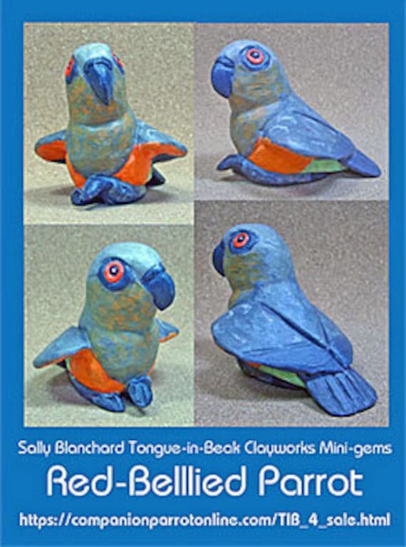 RED-BELLIED PARROT Tongue-in-Beak Mini-gem by Sally Blanchard