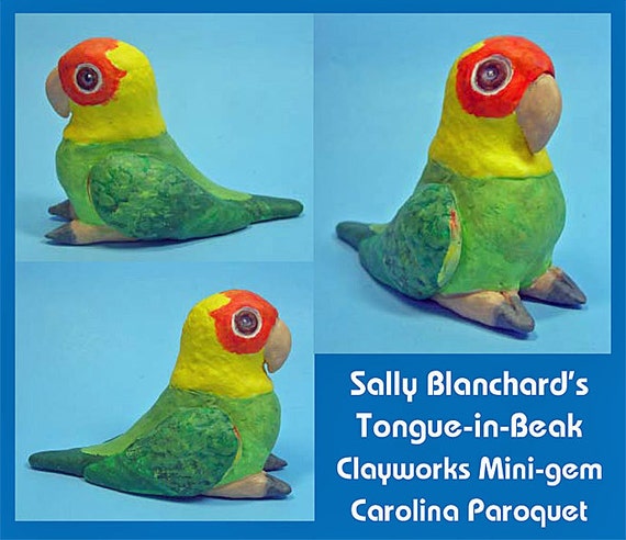 CAROLINA PAROQUET Tongue-in-Beak Mini-gem by Sally Blanchard