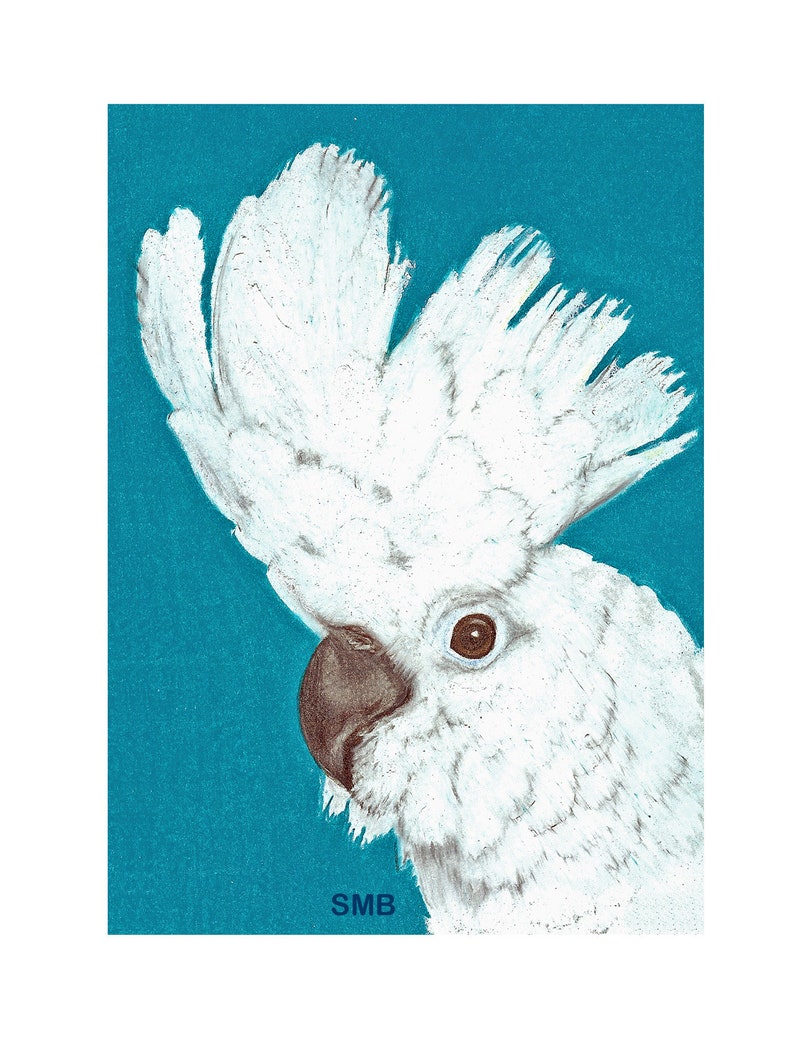 Umbrella Cockatoo Print on High Quality Print on Linen of an Etsy
