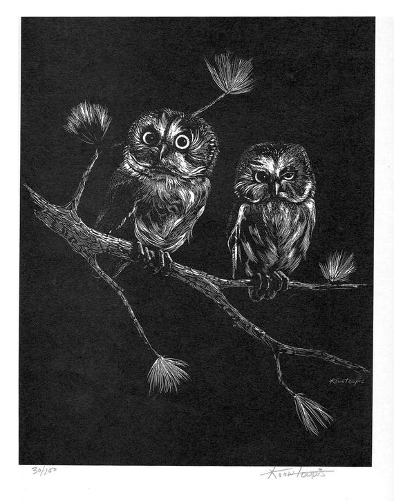 George Kontoupis Scratch board print 30/100 Northern Saw Whet Owls