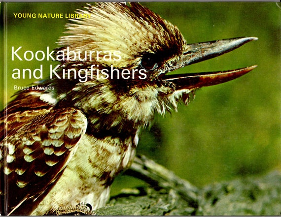 Kookaburras and Kingfishers Young Nature Library by Bruce Edwards