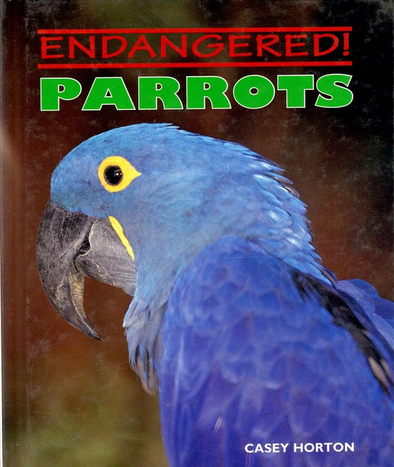 Endangered Parrots by Casey Horton