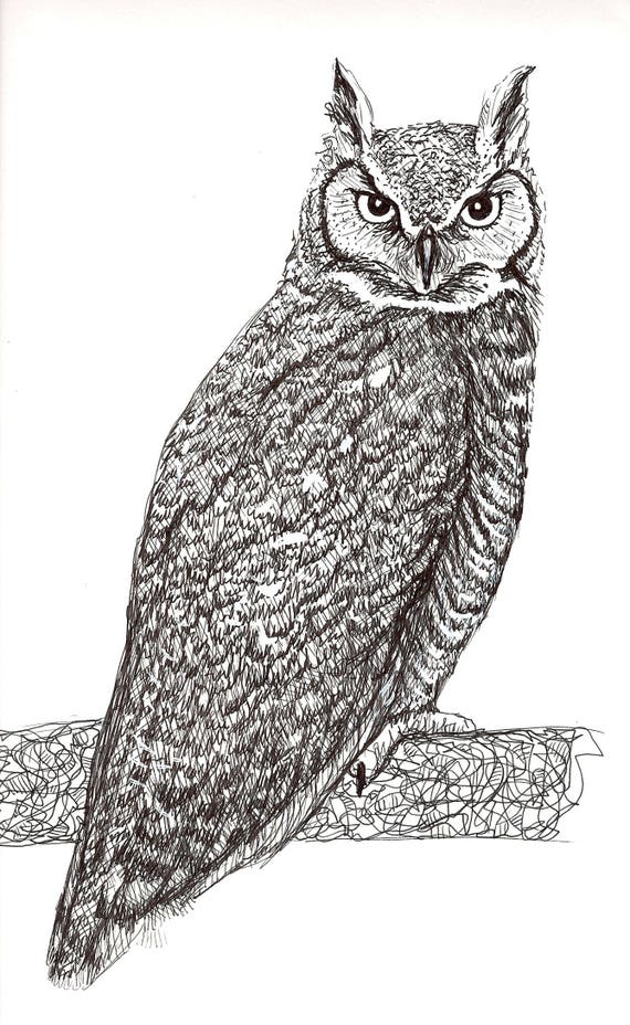 Sally Blanchard Original Pen and Ink Drawing of a Great Horned Owl