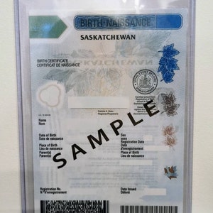 Rigid Plastic Protective Case, Holder for Canadian Birth Certificates, Travel Document Holder image 4