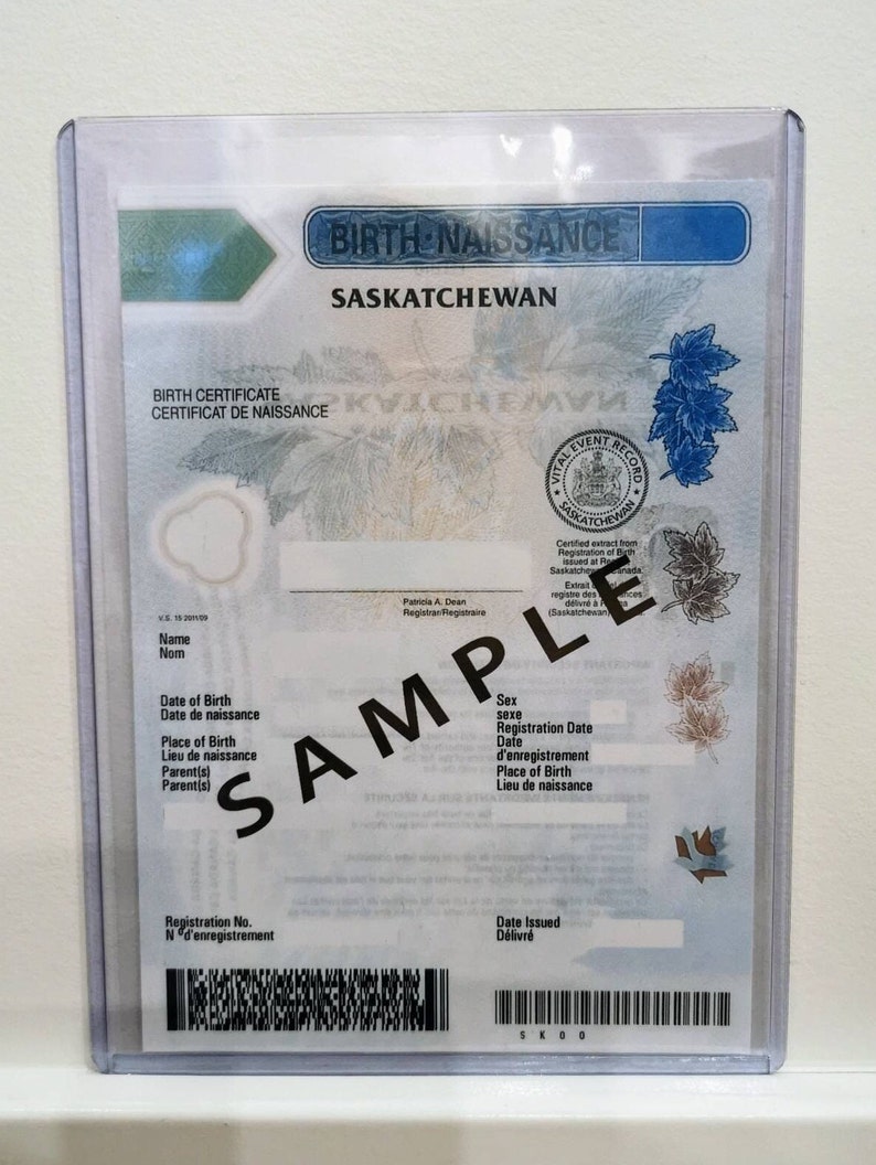 Rigid Plastic Protective Case, Holder for Canadian Birth Certificates, Travel Document Holder image 4