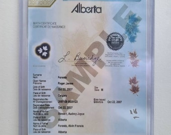 Rigid Plastic Protective Case, Holder for Canadian Birth Certificates, Travel Document Holder