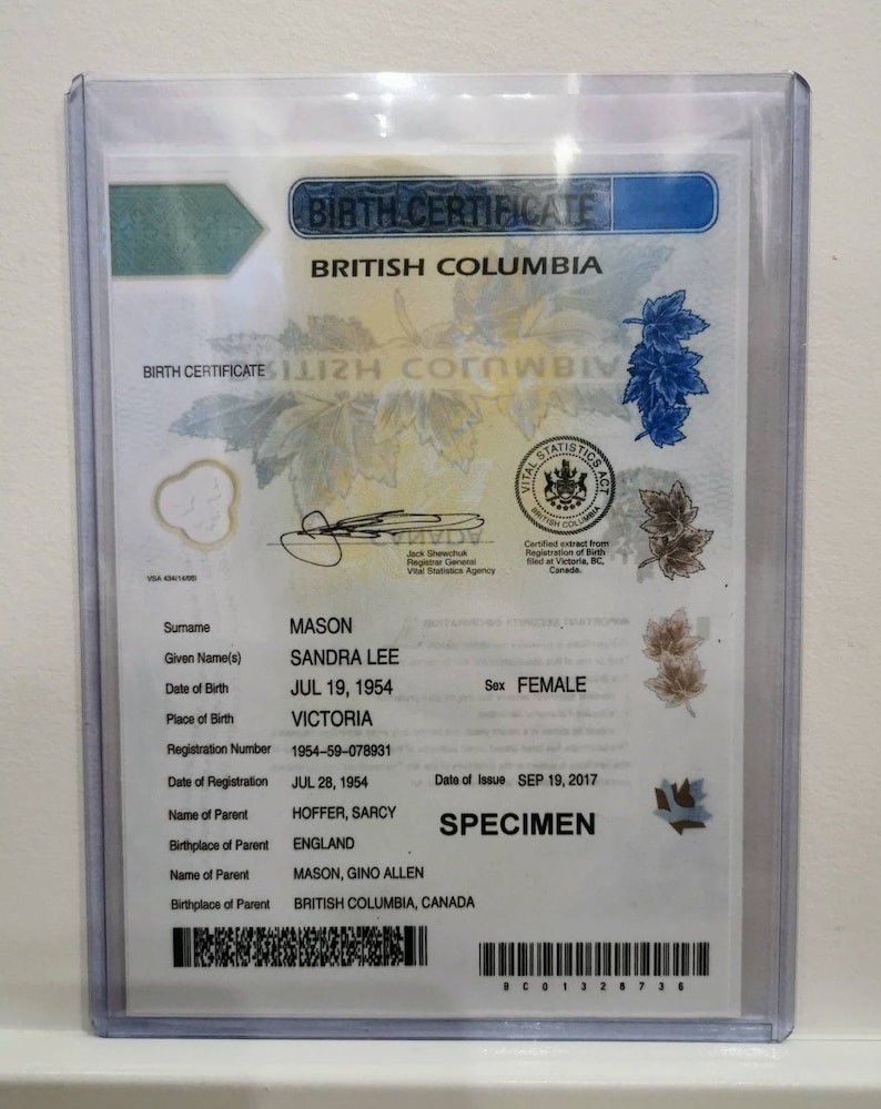 Rigid Plastic Protective Case, Holder for Canadian Birth Certificates, Travel Document Holder image 3