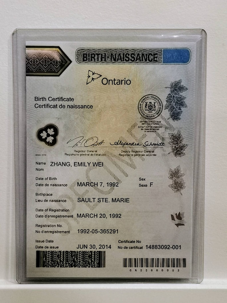 Rigid Plastic Protective Case, Holder for Canadian Birth Certificates, Travel Document Holder image 2