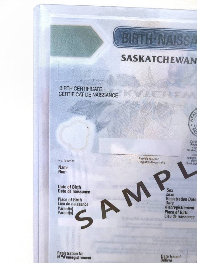 Starre Kunststoff Schutzhülle, Halter für kanadische Geburtsurkunden, Reisedokumente Halter Bild 8