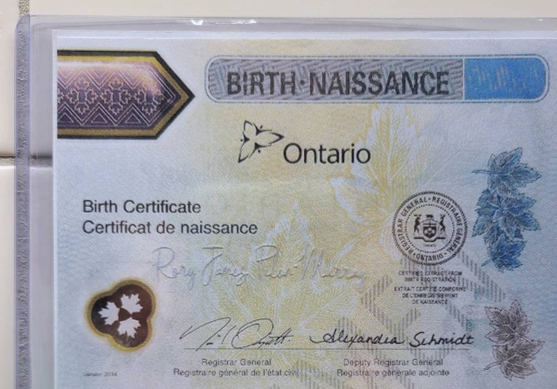 Rigid Plastic Protective Case Holder for Canadian Birth Etsy Canada