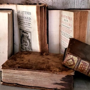 May include: A collection of antique books with aged, textured covers. The spines and pages show signs of wear, with titles in French. One book features a blue seal. The books are arranged on a wooden surface, evoking a sense of history and scholarly interest.
