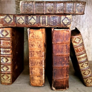 OLD BOOK from the 1600s - History, Literature, Religion, Poetry, Education Etc