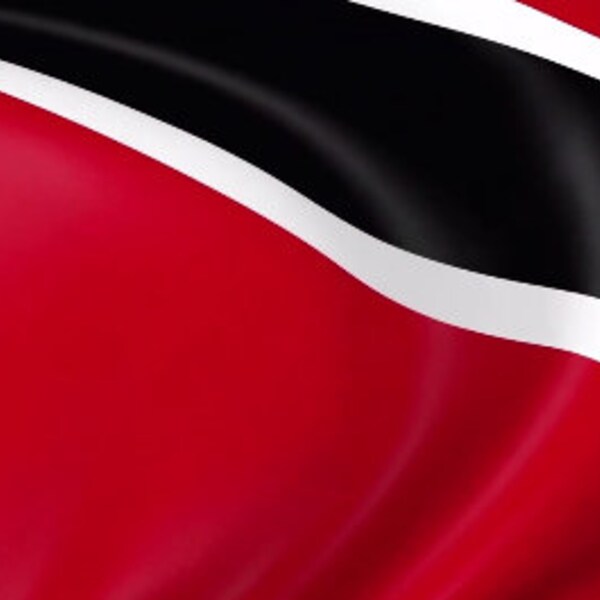 Motion/moving Trinidad Pride Flag waiving Animated looping Virtual Zoom Background Instant digital download Trini