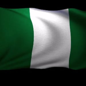 Motion/moving Nigeria Flag waiving Animated looping Virtual Zoom Background Instant digital download Nigerian Pride