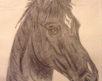 Desenho de cabeça de cavalo