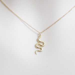 May include: A gold snake necklace with a small diamond accent. The chain is delicate and the snake pendant is simple and elegant.
