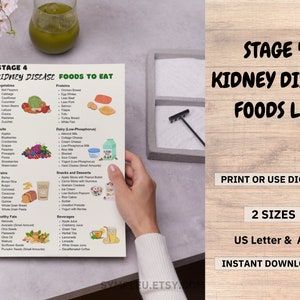 Stage 4 Kidney Disease Food List, Kidney Friendly Food List, Renal Diet, Kidney Disease Diet Foods Chart for Meal Plan, Kidney Diet Foods