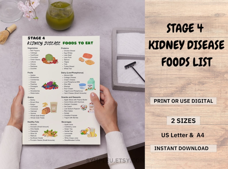 Stage 4 Kidney Disease Food List, Kidney Friendly Food List, Renal Diet, Kidney Disease Diet Foods Chart for Meal Plan, Kidney Diet Foods