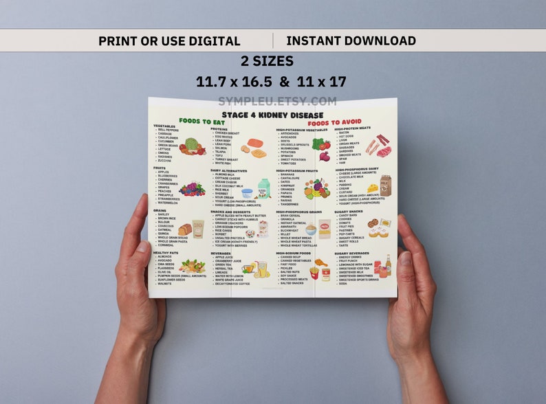 Stage 4 Kidney Disease Food List, Kidney Friendly Food List, Kidney