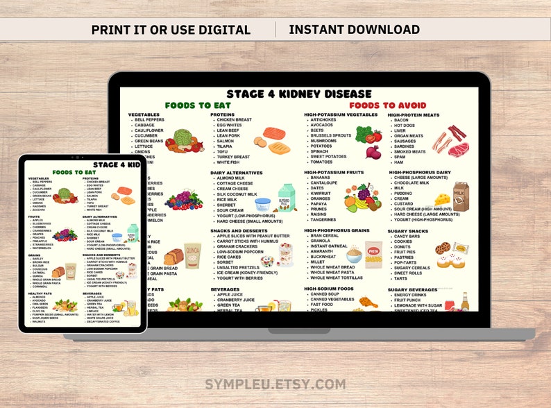 Stage 4 Kidney Disease Food List Kidney Friendly Food List Kidney stage-4-kidney-disease-food-list-kidney-friendly-food-list-kidney