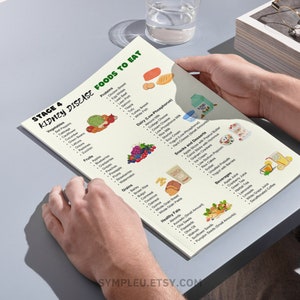Stage 4 Kidney Disease Food List, Kidney Friendly Food List, Renal Diet, Kidney Disease Diet Foods Chart for Meal Plan, Kidney Diet Foods