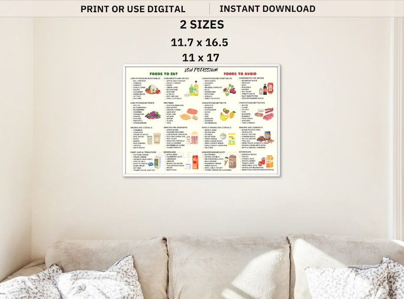 Low Potassium Diet Food List, Kidney Disease, Renal Diet, Potassium Meal Plan Guide, Potassium Foods Chart Poster, Potassium Grocery List