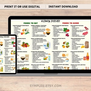 Kidney Friendly Food List, Kidney Disease Food List, Kidney Diet List for Low Potassium Meal Plan, Kidney Disease Diet, Kidney Foods Poster