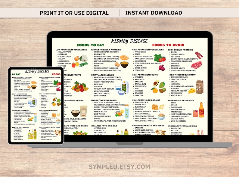 Kidney Friendly Food List, Kidney Disease Food List, Kidney Diet List for Low Potassium Meal Plan, Kidney Disease Diet, Kidney Foods Poster