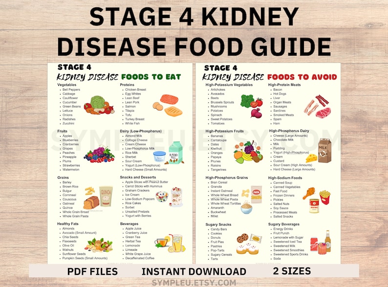 Stage 4 Kidney Disease Food List, Kidney Friendly Food List, Renal Diet