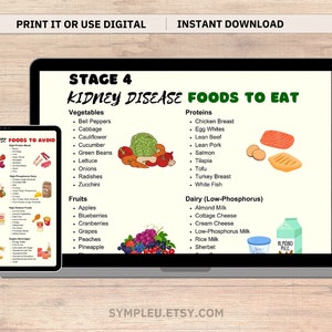 Stage 4 Kidney Disease Food List, Kidney Friendly Food List, Renal Diet, Kidney Disease Diet Foods Chart for Meal Plan, Kidney Diet Foods
