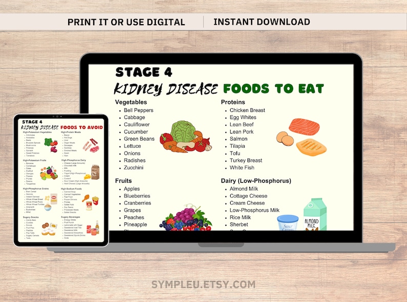 Stage 4 Kidney Disease Food List, Kidney Friendly Food List, Renal Diet, Kidney Disease Diet Foods Chart for Meal Plan, Kidney Diet Foods