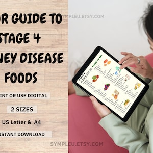Stage 4 Kidney Disease Food List, Kidney Friendly Food List, Renal Diet, Kidney Disease Diet Foods Chart for Meal Plan, Kidney Diet Foods