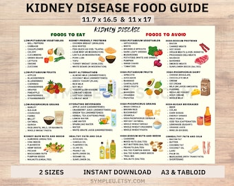 Kidney Friendly Food List, Kidney Disease Food List, Kidney Diet List for Low Potassium Meal Plan, Kidney Disease Diet, Kidney Foods Poster