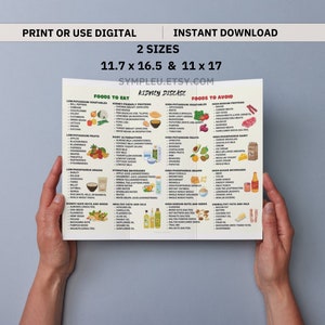 Kidney Friendly Food List, Kidney Disease Food List, Kidney Diet List for Low Potassium Meal Plan, Kidney Disease Diet, Kidney Foods Poster