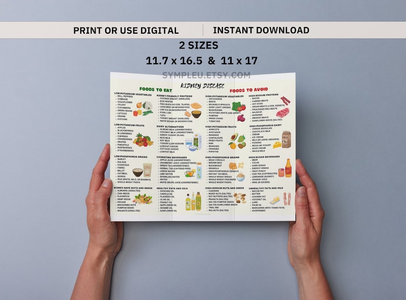 Kidney Friendly Food List, Kidney Disease Food List, Kidney Diet List for Low Potassium Meal Plan, Kidney Disease Diet, Kidney Foods Poster