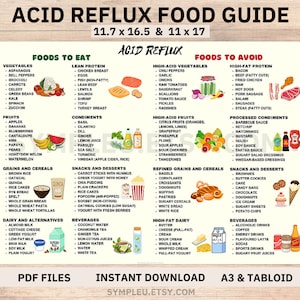 Acid Reflux Food List, Gerd Diet, Acid Reflux Food Chart for Gerd Meal Plan, Gerd Food Grocery List, Heartburn, Low Acid Foods Poster, PDF