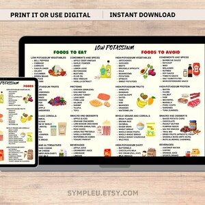 Low Potassium Diet Food List, Kidney Disease, Renal Diet, Potassium Meal Plan Guide, Potassium Foods Chart Poster, Potassium Grocery List