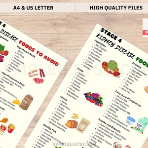Stage 4 Kidney Disease Food List, Kidney Friendly Food List, Renal Diet, Kidney Disease Diet Foods Chart for Meal Plan, Kidney Diet Foods