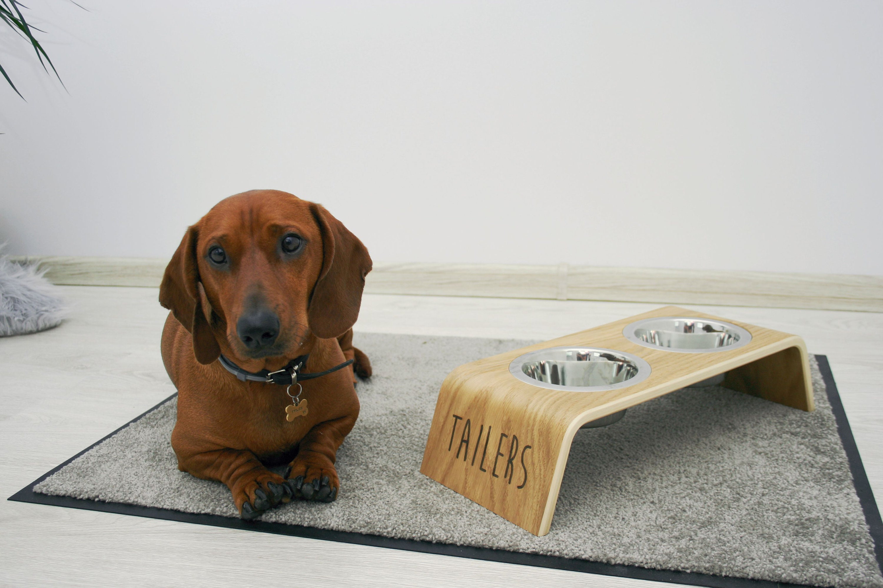 Support de Bol Pour Chien Surélevé. Support Personnalisé ou Chat Élevé