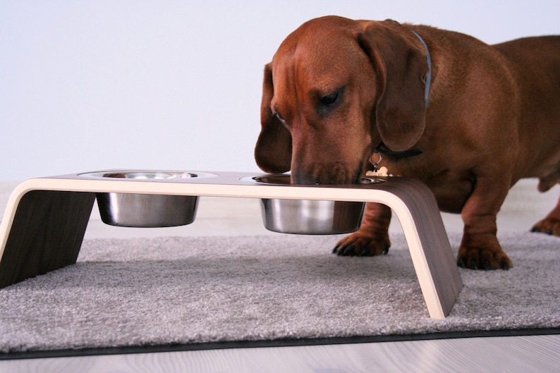 Personalized Dog Bowl Stand Wooden Pet Feeder With Bowls Etsy