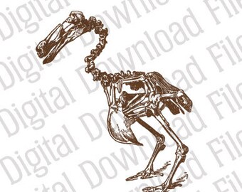 Vector Graphic - DD471 Dodo Skeleton Vector - DIGITAL DOWNLOAD - Ai & Svg - Editable - Bird Mauritius Extinct Evolution Feathers Nature Fly