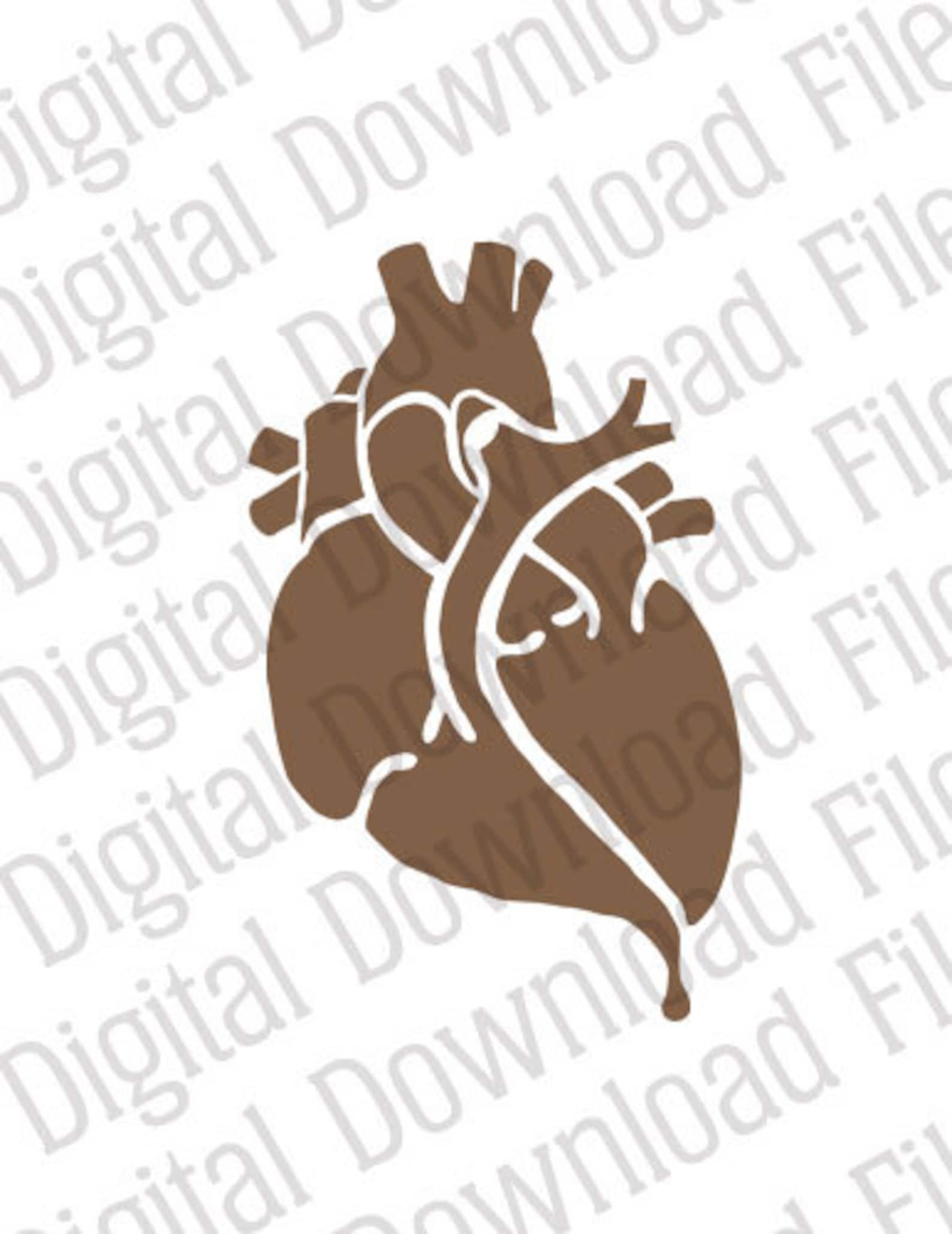 Vector Stencil Graphic DD220 Bleeding Heart Vector DIGITAL Etsy