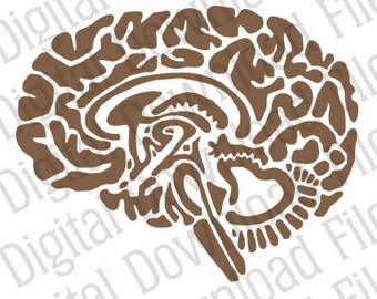 Vector Stencil Graphic - DD221 Brain Power Vector - DIGITAL DOWNLOAD file in Ai & Svg formats - Fully Editable Vinyl Ready Image, Halloween