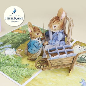 Cardology - Carte pop-up pour bébé garçon | Carte de bienvenue Peter Rabbit, cadeaux pour nouveau-nés, fait main | Sous licence officielle