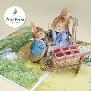 Cardology - Nouvelle carte pop-up pour bébé fille | Carte de bienvenue Peter Rabbit pour petite fille, Cadeaux souvenir pour nouveau-né, Fait main | Sous licence officielle